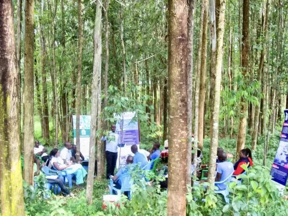 Sustainable and Inclusive Food-Systems Agents (SIFA) Kadongo Farmers Consultative Meeting