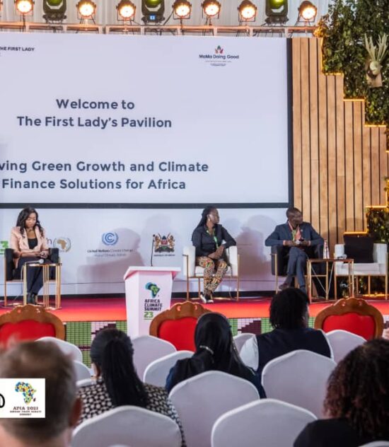 Reflecting on the Africa Climate Summit and Africa Climate Week