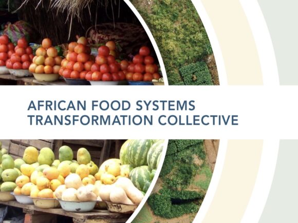 Africa Centre for Sustainable Development (Africa CSID) Joins Advisory Committee of Experts in African Food Systems Transformation Collective (AFSTC)