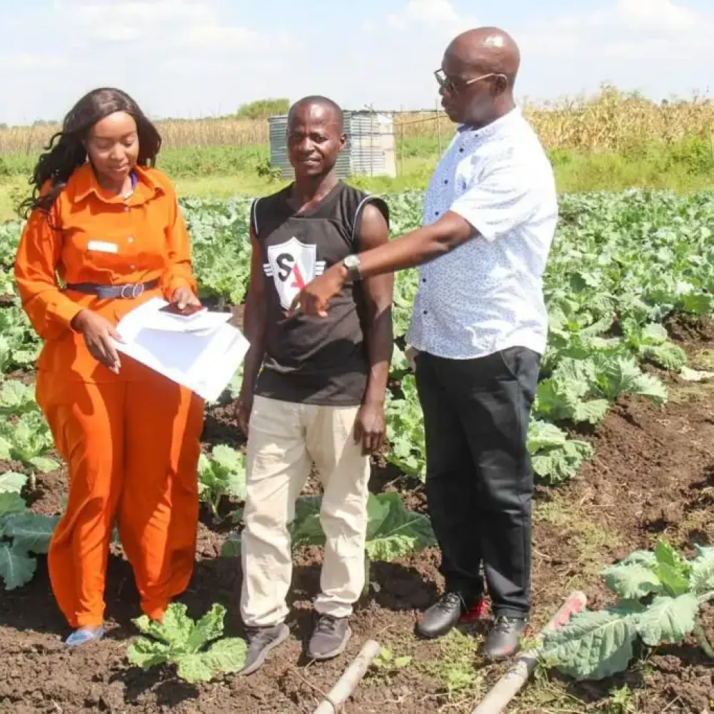 WhatsApp Image 2023-07-05 at 7.03.42 PM (4)